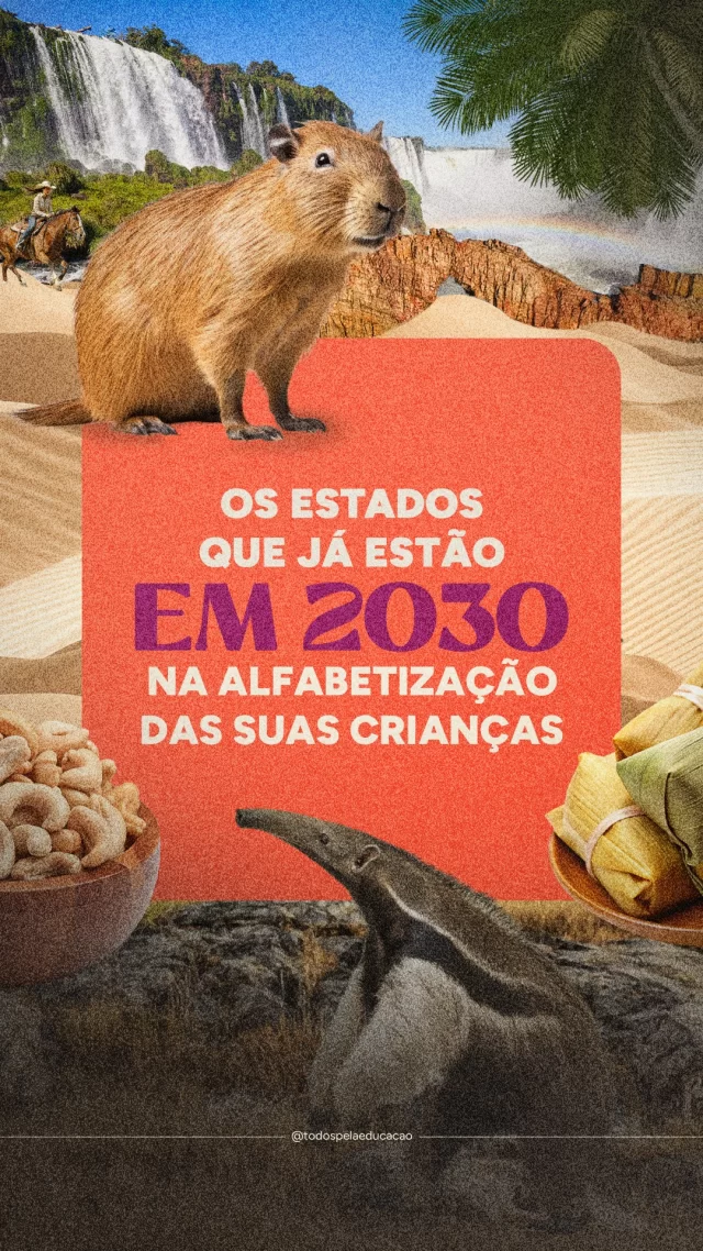 Seu estado está na lista? A meta nacional para 2030 é garantir que 80% de nossas crianças estejam alfabetizadas. E três estados brasileiros já chegaram lá: Ceará (84%), Paraná e Goiás (ambos com 80%) - os dois últimos alcançaram tal patamar em 2025, conforme revelou o Indicador Criança Alfabetizada, divulgado recentemente.

Observar esses resultados é importante para compreender quais iniciativas foram adotadas e fizeram avançar a alfabetização das crianças nesses territórios. Bons exemplos ensinam e podem ser potencializados pelo país!

Quer saber mais? Acesse nossa análise completa (link na bio).